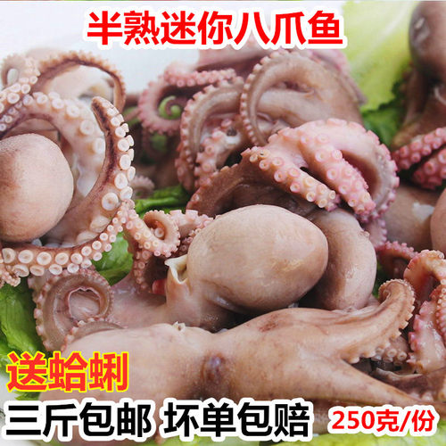 迷你八爪鱼新鲜海捕无冰净重包邮