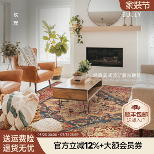 攸理eully奥斯曼 客厅地毯轻奢高级感复古家用房间百搭卧室地毯