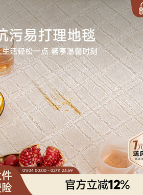 攸理eully昔时 客厅现代轻奢防水防污长方形地毯免洗抗污易打理