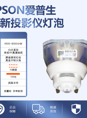 适用于丨EPSON爱普生(ELPLP91)PowerLite 680 PowerLite 685W BrightLink 685Wi/BrightLink 695Wi投影机灯泡