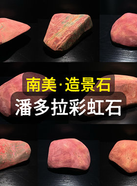 南美鱼缸造景彩虹石潘多拉石雷龙巴卡眼镜蛇乌龟晒台石天然石红石