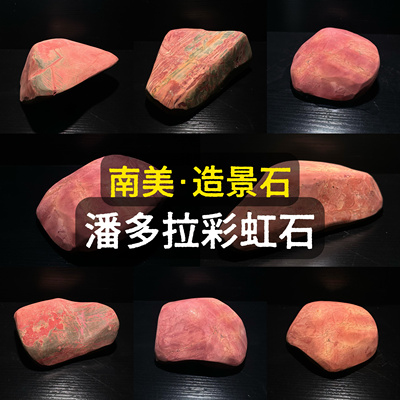 南美鱼缸造景彩虹石潘多拉石雷龙巴卡眼镜蛇乌龟晒台石天然石红石