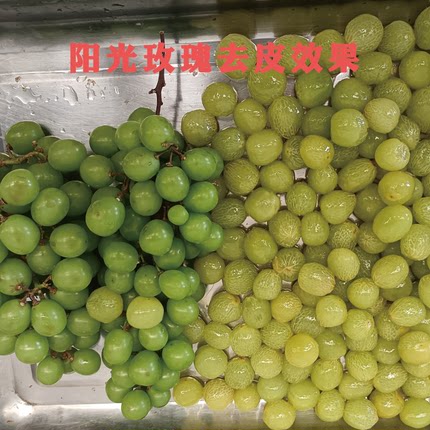 夏黑葡萄物理去皮机   速冻葡萄粒深加工设备生产线 农产品生产线