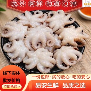 新鲜八爪鱼水产迷你小八爪网红爆头海鲜火锅鲜活章鱼烧短腿八爪鱼