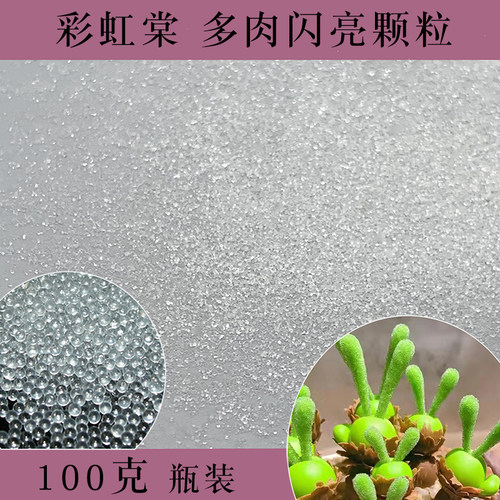 多肉透明玻璃珠颗粒彩虹棠