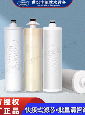 世纪丰源饮水机滤芯快接式PP棉超滤颗粒烧结活性炭4支 10寸净水器