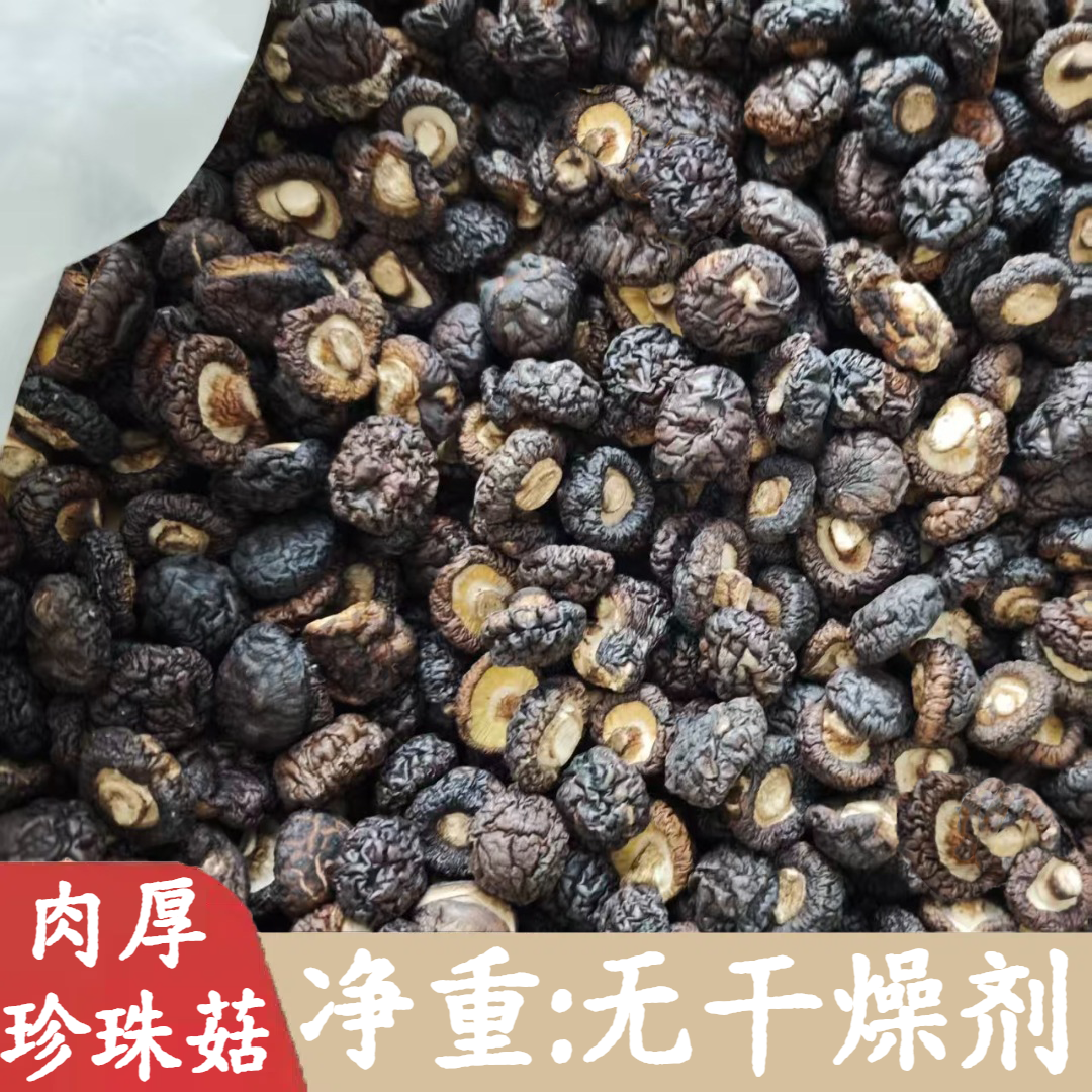 黑面珍珠菇香菇干货金钱菇超小珍珠菇干货小香菇浓香特嫩煲汤香菇