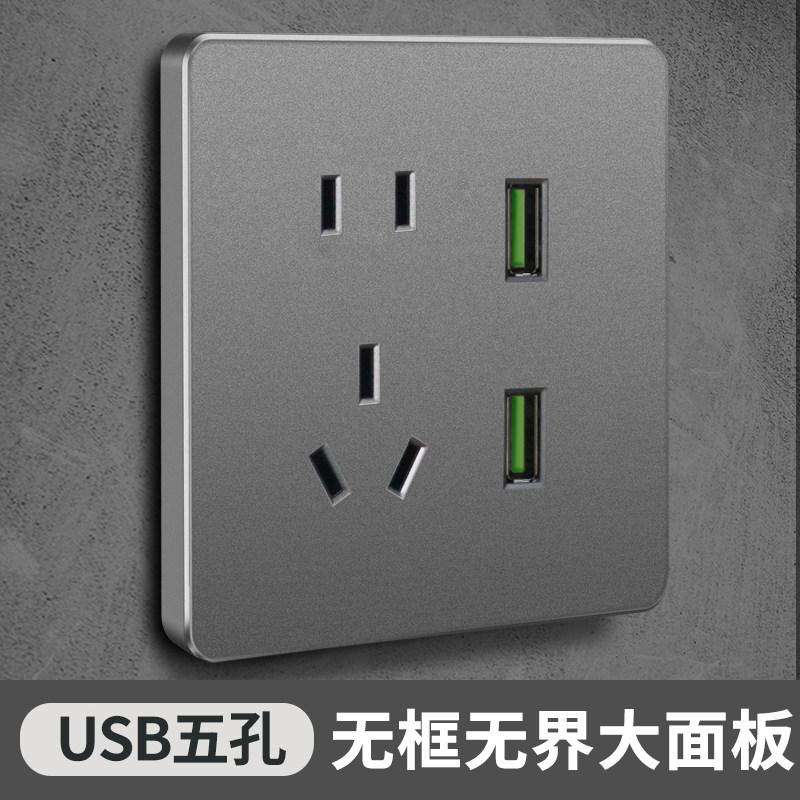 国际电工86型暗装五孔带USB充电图片