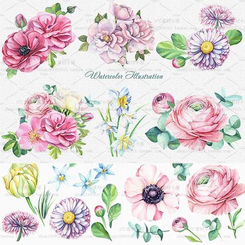 淡雅底纹价格 淡雅底纹图片 星期三