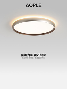 银灰色全光谱意大利极简主义卧室吸顶灯简约现代餐厅房间灯中山灯
