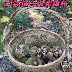 2025年宜兴大板栗 现拨生新鲜山里大栗甜粉30年老树可发板栗刺球