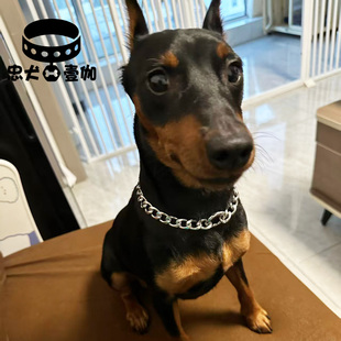 宠物项圈项链猫咪狗狗大金链子不锈钢材质狗链时尚 脖圈杜宾小鹿犬