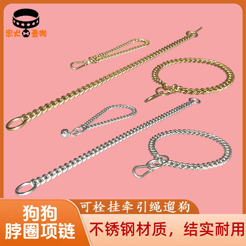 狗狗项链不锈钢P链可挂牵引绳