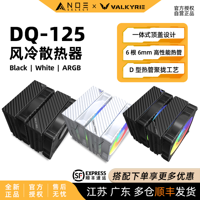 瓦尔基里DQ125双塔风冷散热器