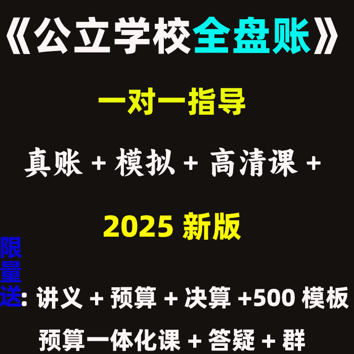 25公立公办学校幼儿园财政府制度事业单位会计做账真账实训网课程