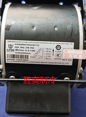 中山大洋电机Y6S443B0115 0150405908 31瓦220V 0.28A