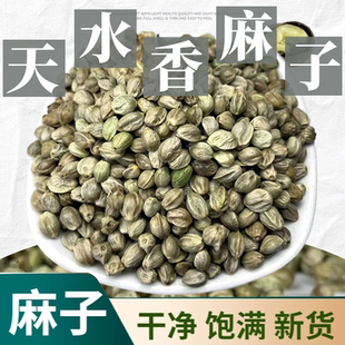 2025新货天水麻子大颗粒麻子新货大粒甘肃特产原味熟生麻籽人吃
