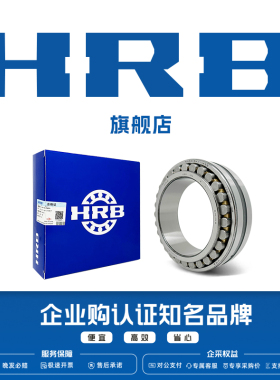 HRB NN3038K/P5 P4W33  双列圆柱内径锥孔精密机床轴承