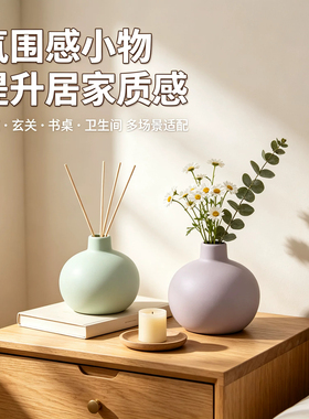 北欧简约无火香薰厕所房间持久小众氛围感陶瓷花瓶空气清新剂摆件