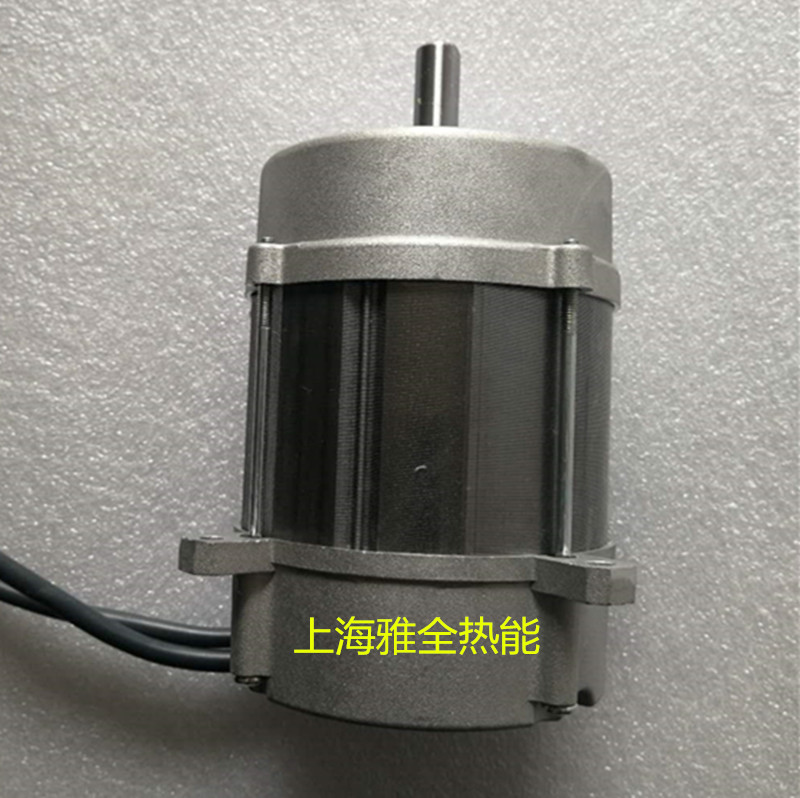 利雅路燃烧机电机FS10