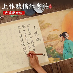 加长款上林赋全篇手抄瘦金体9米宣纸入门专用临摹练字帖司马相如