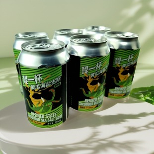 Gose 悠航醍一杯黄瓜海盐古斯 Salt Sea 国产精酿啤酒 Cucumber