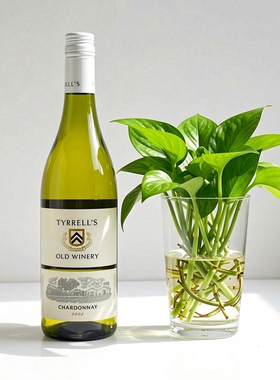 添瑞老酒庄 澳大利亚霞多丽白葡萄酒 TYRRELL'S OLD WINERY2023