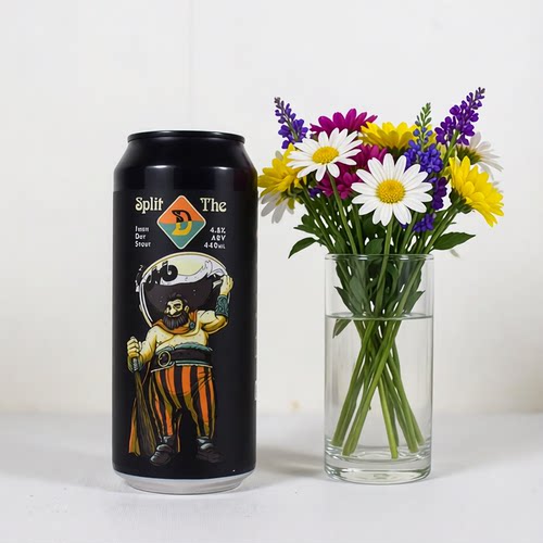 新西兰幻视 D分界线爱尔兰干世涛啤酒 Irish dry stout 440ml*6罐