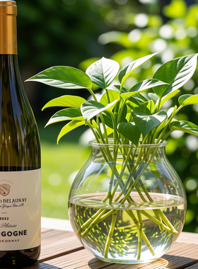 EDOUARD DELAUNAY2022爱德华·德洛内酒庄凤凰干红/干白葡萄酒