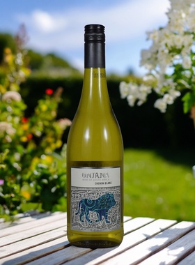 Chenin Blanc南非翁嘉霓雄狮白诗南干白葡萄酒绿色番石榴梨子香气