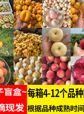 蒙阴蜜桃盲盒拼装4～12个品种多拼孕妇新鲜水果当季时令整箱现摘