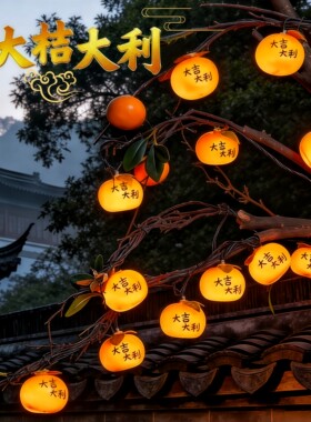 户外树上太阳能柿子桔子装饰灯串
