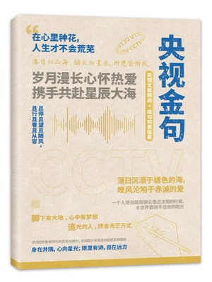 央视金句文案摘抄作文素材主持人董卿康辉唯美经典语录本练字