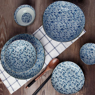 美浓烧日本进口高级感陶瓷碗创意家用餐具碗碟盘米饭碗日式汤面碗