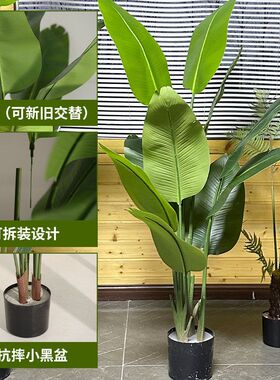 跨境欧美连体天堂鸟仿真高级感绿植盆栽展厅室内装饰大型仿生盆景