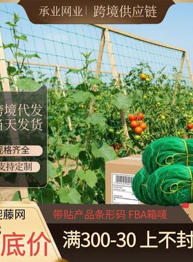 尼龙爬藤园艺瓜果蔬菜丝瓜盆景豆角爬架菊花花园格子抗倒伏用网