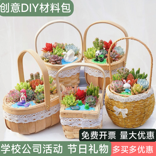 多肉植物组合盆栽含花篮含土桌面绿植花卉室内创意肉肉DIY套餐