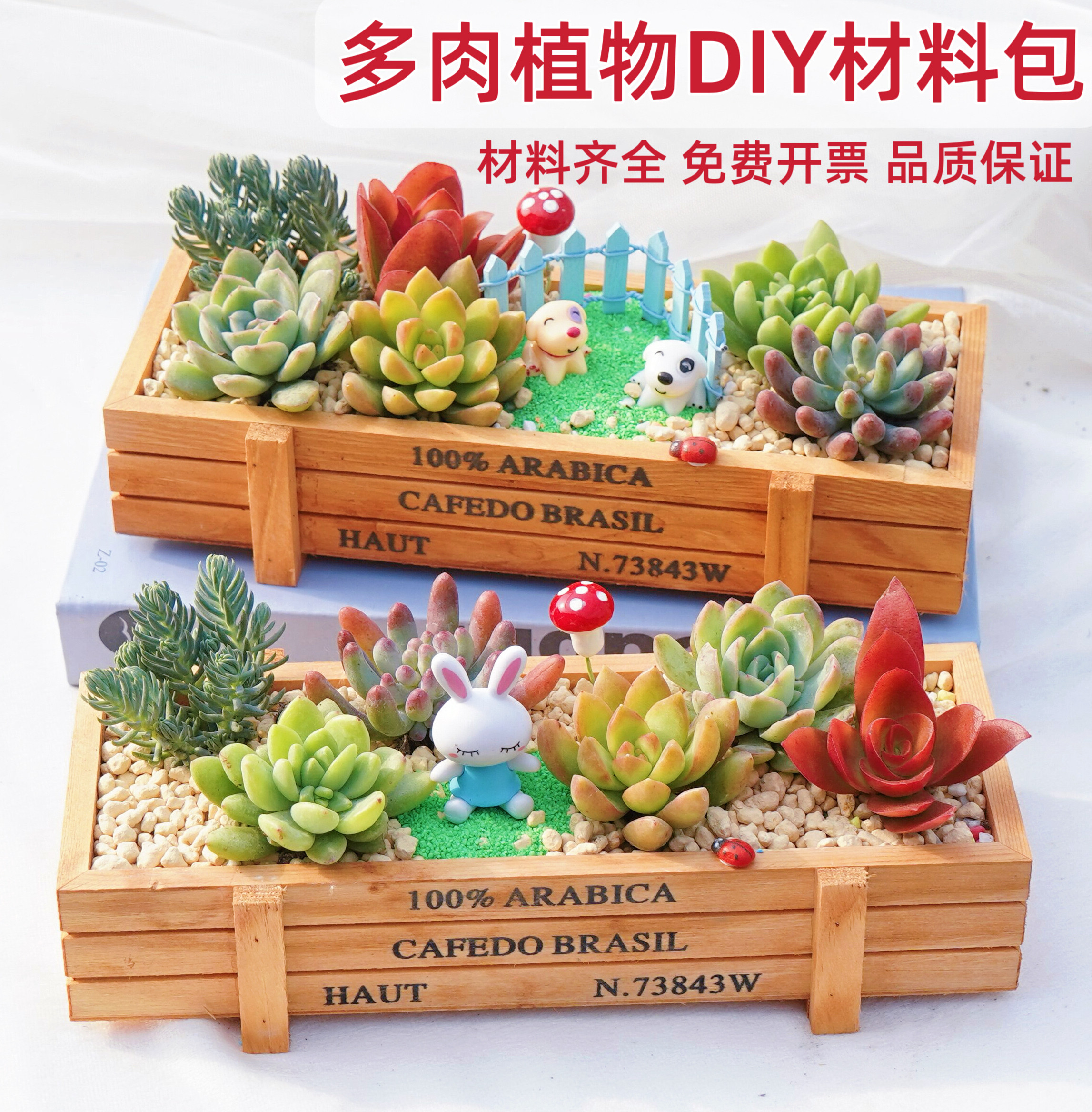 多肉植物组合DIY材料包肉肉套餐