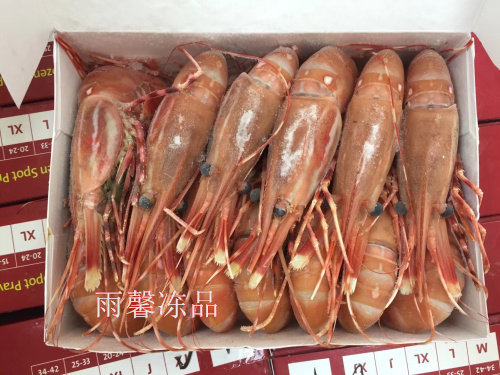加拿大牡丹虾 活冻牡丹虾料理刺身食材1盒1公斤25-33只左右图片