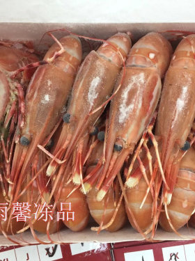 加拿大牡丹虾 活冻牡丹虾料理刺身食材1盒1公斤25-33只左右