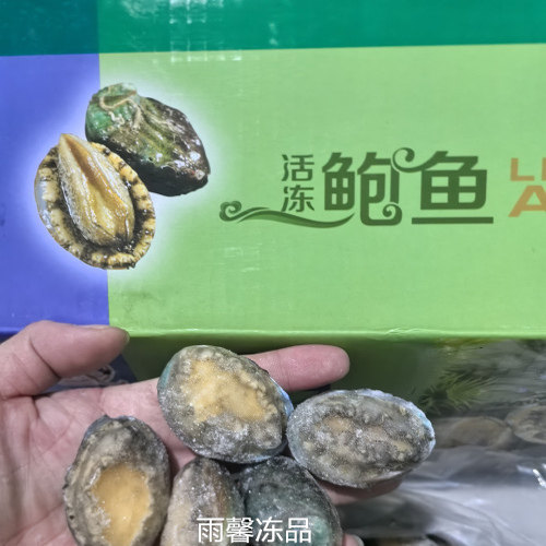 新鲜活冻30头小鲍鱼冷冻带壳小鲍鱼1箱10公斤生腌捞渍汁 佛跳墙捞