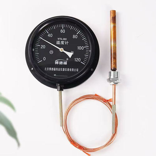 压力式探头带线指针式温度表