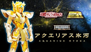 白鸟座 海皇 冰河 水瓶座 孩仕宝 玩具模型圣斗士星矢圣衣神话