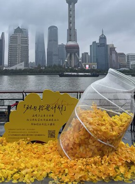 亚克力漂流瓶许愿瓶发光瓶星空瓶