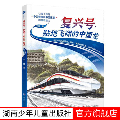 复兴号，贴地飞翔的中国龙王雄