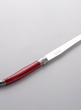 法国André Verdier DEBUTANT红色不锈钢正餐刀西餐刀牛排刀23cm
