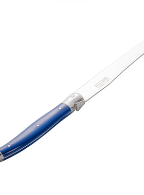 法国进口André Verdier新蓝色DEBUTANT不锈钢正餐刀西餐刀牛排刀