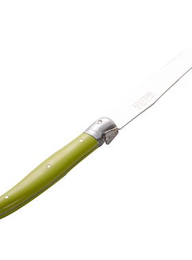 法国André Verdier DEBUTANT 茴香绿不锈钢正餐刀西餐刀牛排刀具