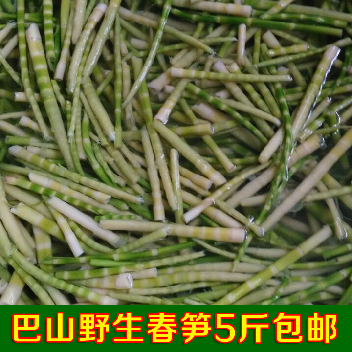 四川新鲜剥壳小春笋现挖野生小竹笋尖水竹笋春笋子冰袋泡沫箱包邮