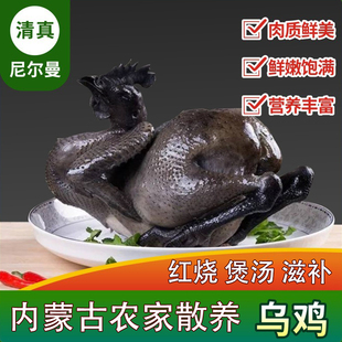 清真正宗新鲜乌鸡内蒙古乌骨鸡生鲜冷冻五黑鸡白凤鸡肉炖汤炒